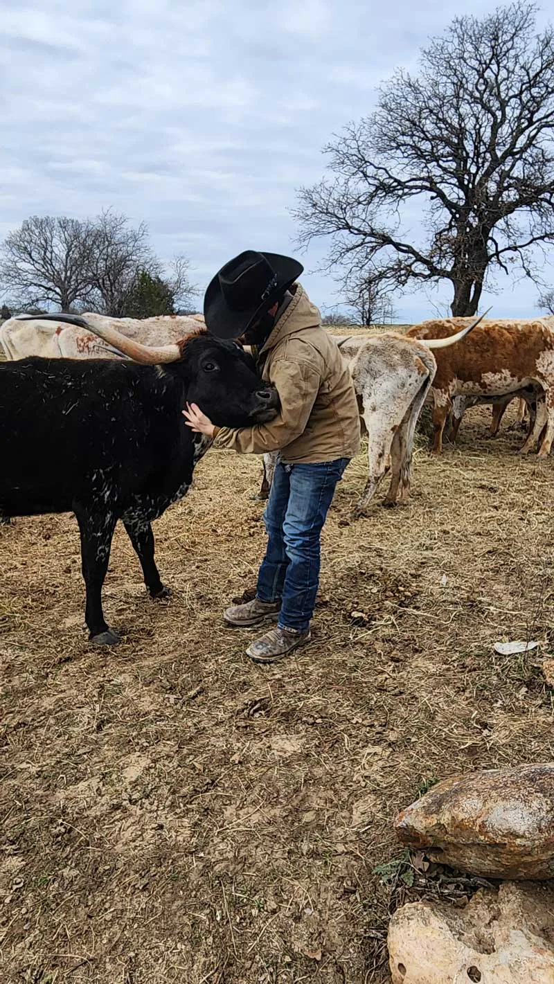 Texas Rancher Caring for Beef Cattle