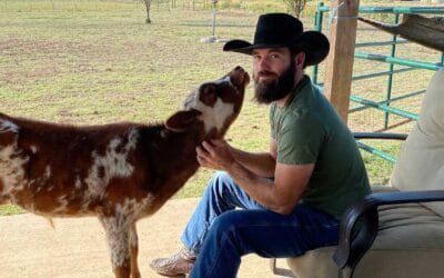 Benefits of Buying Beef from a Local, Small-Farm Ranch