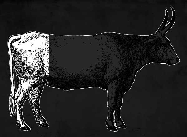 Buy Quarter Cow Grass-Fed Beef