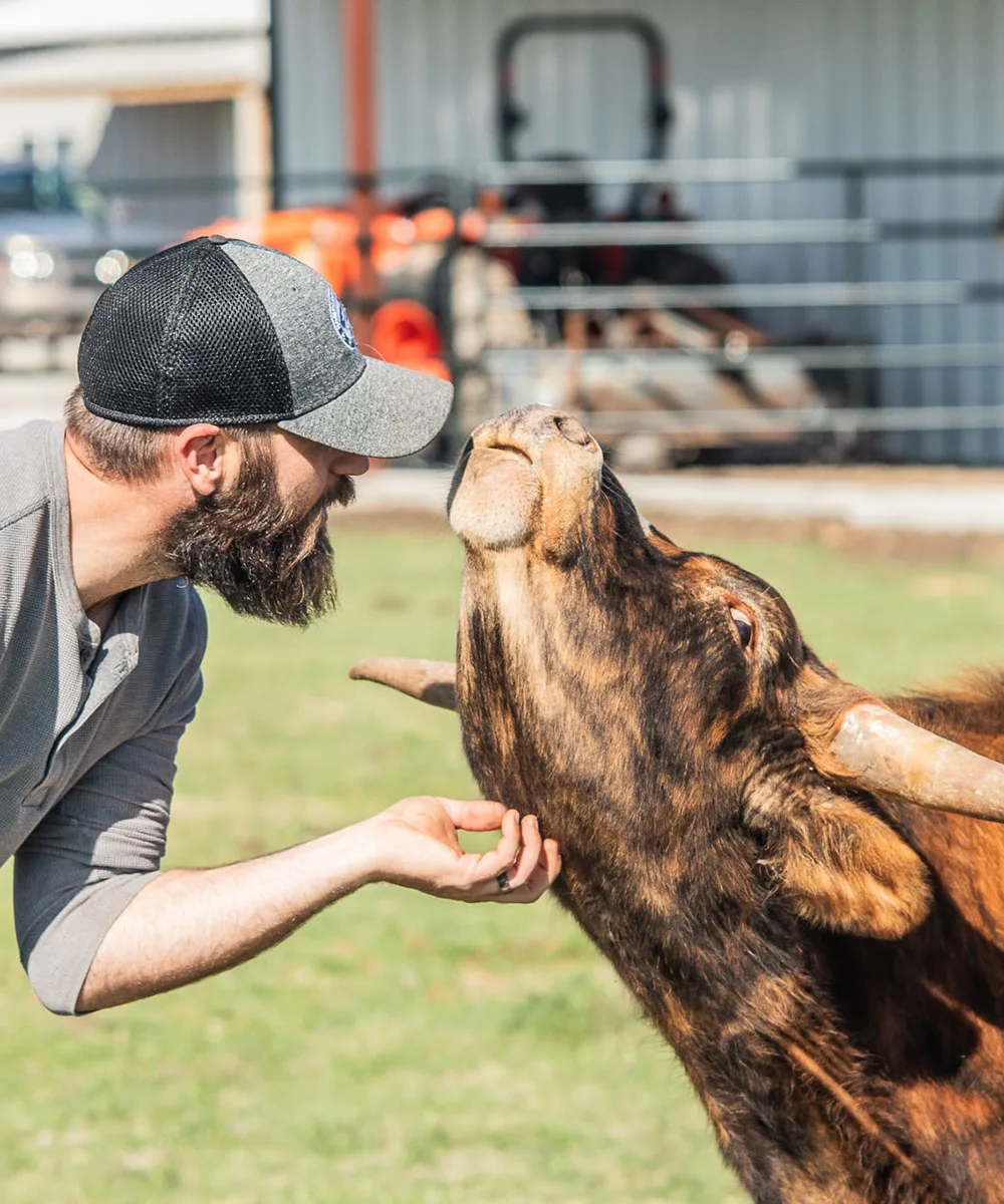 Family Ranch Selling Longhorn Beef